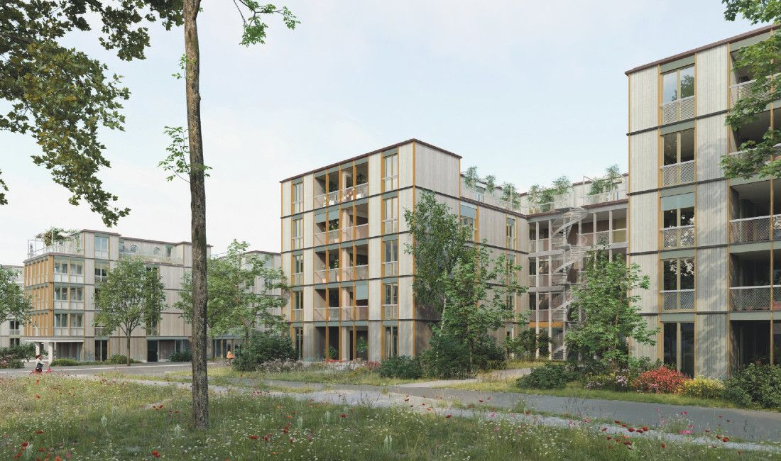 Bild5